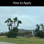 How to Apply for University of Arizona Global Campus: A Comprehensive Guide